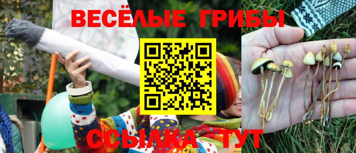 Боровичи  Галлюциногенные грибы ЛСД  Вход с VPN 